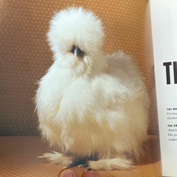 The Fairest Fowl: Portraits of Championship Chickens Book by Tamara Staples - Picture 6 of 16
